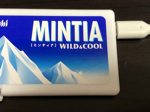 MINTIAケースとUSBケーブル