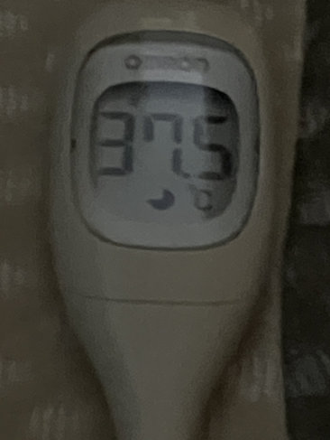体温計は37.5℃を示す
